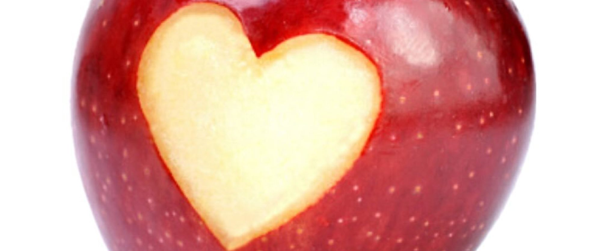 sollaceee! Interview Banner